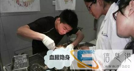 西安乐善宠物服务有限公司 24小时免费出诊