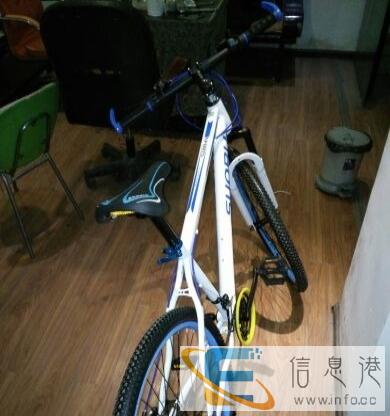 新买来的自行车