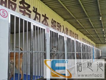 邢台小韩宠物服务有限公司