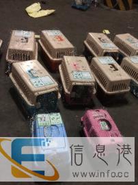 专业宠物托运，欢迎来电
