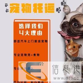 给你的宝贝来一场愉快的旅途