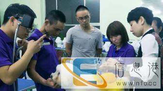 专业宠物美容、训犬和开店指导，零基础包就业，有保障