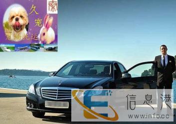 久宠爱宠全国托运