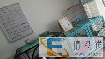 奇宠宠物生活寄养中心
