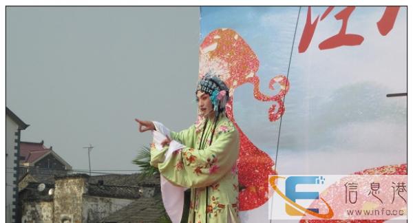 戏曲服装京剧服装戏曲用品行头青衣褶子对披玉兰花褶子