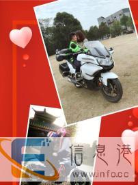 摩族公路领跑者全场酷跑特价售支持分期0首付科大车业钜惠