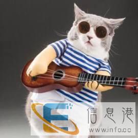 全国托运宠物，欢迎来电