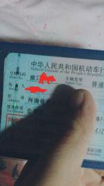 行使中250小忍忍