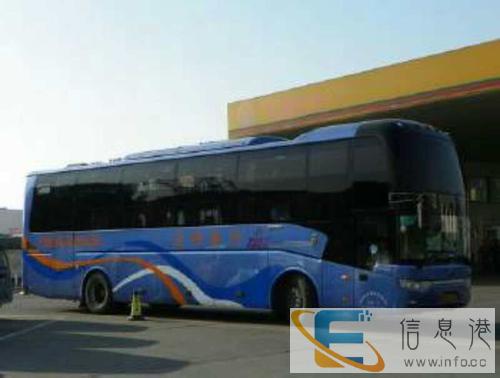 青岛宠物托运哪家好需要多少时间