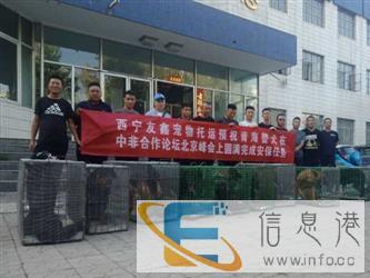 西宁宠物托运帮宠帮公司西宁十年宠物托运