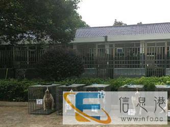 西宁宠物托运安全可靠放心找信誉公司帮宠帮宠物托运