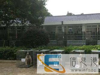 西宁宠物托运帮宠帮公司教您如何托运猫狗