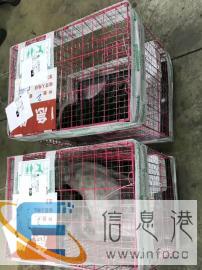 宠物托运专业的宠物托运团队实体店经营