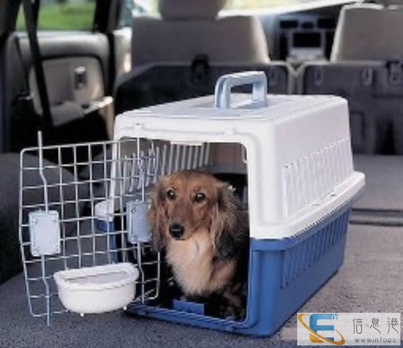 扬州宠物托运-竭诚为您服务