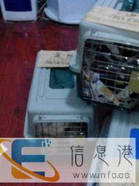 扬州宠物托运快速服务