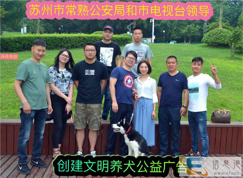 扬州宠物犬行为纠正训练培训学校训犬训狗基地哪家好