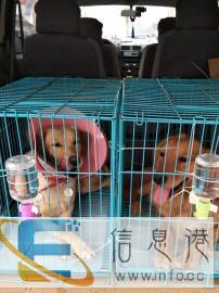 省心省力省钱的托运