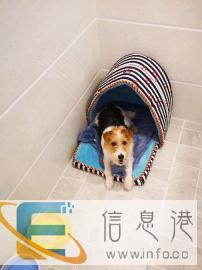 宠物单间安心寄养