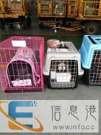 宜昌至全国宠物托运火车汽车空运市内接送