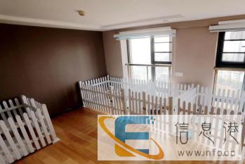 宠物酒店式无笼寄养