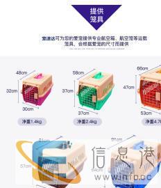 湖北宠物托运空运火车陆运宠物托运全国门到门服务