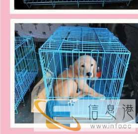 平安宠物托运，家到家的服务