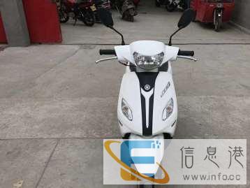 俱乐部高价回收出售迷你趴赛街跑，踏板，弯梁，鬼火，地平线雅马