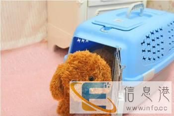 宠物托运 长旺全国宠物托运