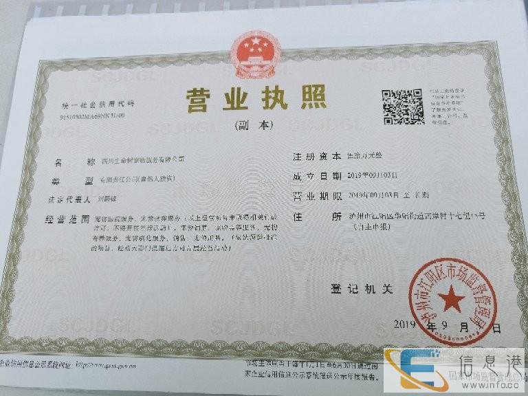 宠物火化,狗狗猫猫遗体无害化处理