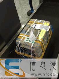 宠物猫狗托运专人照顾专用笼具多元化模式