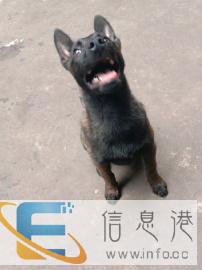 长期对外接训，价格温柔