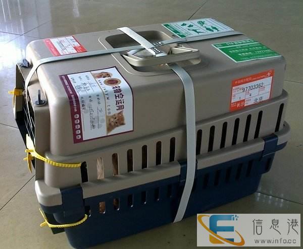 陕西榆林宠物航空托运上门服务全国连锁