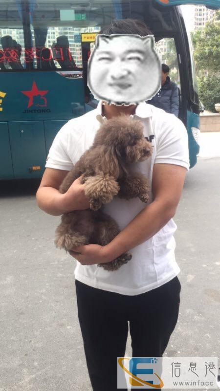 24小时宠物托运空运汽运客运