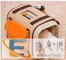 宠物托运欢迎你的来电