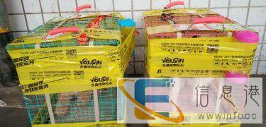 宠物托运 十宠物托运需要多少几个小时到永州