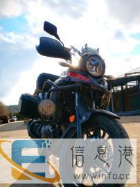 铃木Dl250abs版