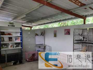 宠物寄养，可上门接送服务，您爱宠的贴心管家