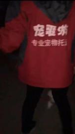 宠爽游宠物专车托运上门接送喂食喂水宠到付款