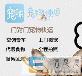 宠物托运选择宠运来安全保障零事故当日可达