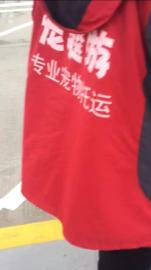 宠爽游保姆专车托运专业正规安全舒适直达家门