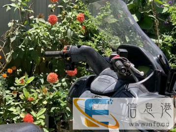 铃木天浪650四冲电喷水冷发动机