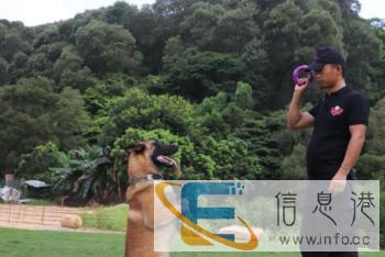 伊甸园护卫犬训练基地：宠物训练、寄养、专车接送