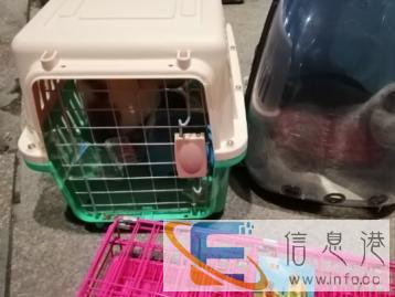 萌宠宠物托运公司