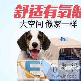 托运，找我就对了，给宠物一个旅行