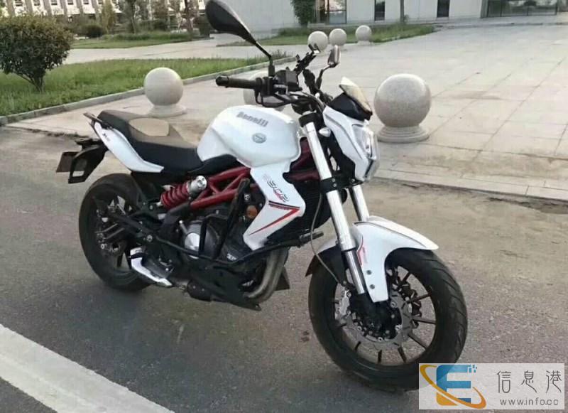 漳州哪里有摩托车买,本市售 大排量街跑三铃地平线等