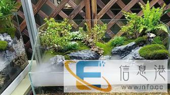 水族景观设计定制服务，价格面议