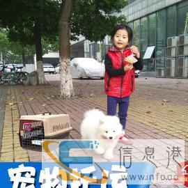 宠物托运价格面议