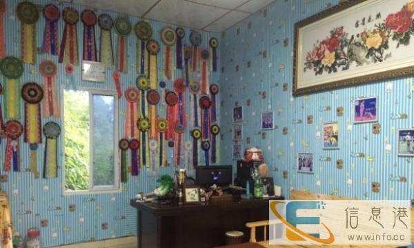 骨头犬舍俱乐部,寄养,游泳,训练