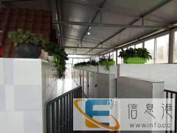 宠托帮宠物寄养