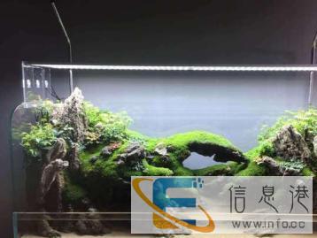 水族景观设计定制服务，价格面议